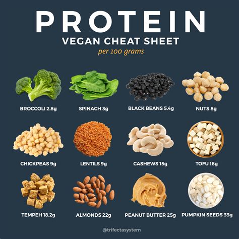 How does a vegan get enough protein